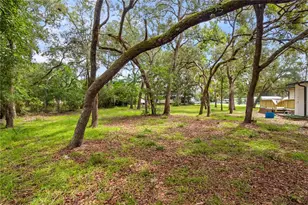 11231 NW 113 Pl, Chiefland, FL 32626 - Photo 6