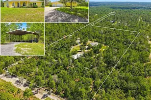 8333 Allen Dr, Weeki Wachee, FL 34613 - Photo 1