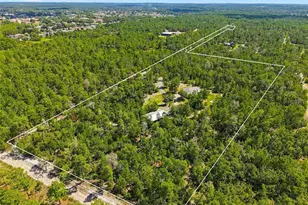 8333 Allen Dr, Weeki Wachee, FL 34613 - Photo 70