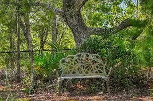 8333 Allen Dr, Weeki Wachee, FL 34613 - Photo 50