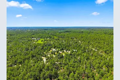 8333 Allen Drive, Weeki Wachee, FL 34613 - Photo 62