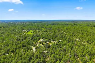 8333 Allen Dr, Weeki Wachee, FL 34613 - Photo 62