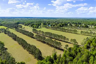 4639 SW Wilson Springs Rd, Fort White, FL 32038 - Photo 54