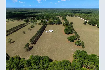 4639 SW Wilson Springs Road, Fort White, FL 32038 - Photo 8