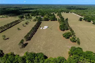 4639 SW Wilson Springs Rd, Fort White, FL 32038 - Photo 8