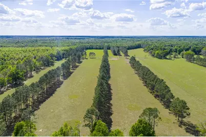 4639 SW Wilson Springs Road, Fort White, FL 32038 - Photo 22