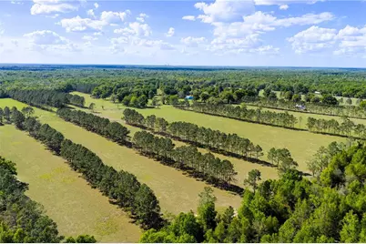 4639 SW Wilson Springs Road, Fort White, FL 32038 - Photo 4