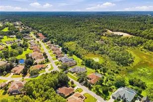 8698 Mississippi Run, Weeki Wachee, FL 34613 - Photo 58
