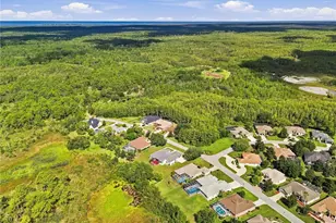 8698 Mississippi Run, Weeki Wachee, FL 34613 - Photo 62
