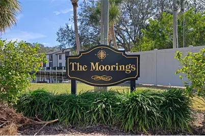 314 Moorings Cove Drive, Tarpon Springs, FL 34689 - Photo 22