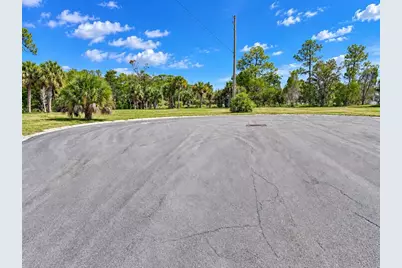 3184 Rose Arbor Drive, Hernando Beach, FL 34607 - Photo 6