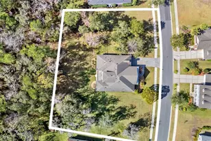 19546 Mossy Oak Ct, Brooksville, FL 34601 - Photo 40