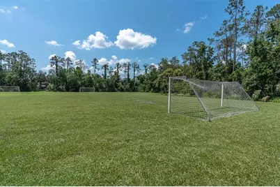 27027 Brush Creek Way, Wesley Chapel, FL 33544 - Photo 64