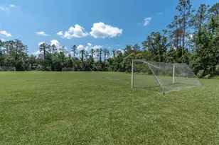 27027 Brush Creek Way, Wesley Chapel, FL 33544 - Photo 64