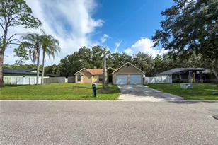 23437 Shining Star Dr, Land O Lakes, FL 34639 - Photo 1