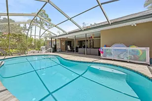 12348 Talpa St, Spring Hill, FL 34608 - Photo 54