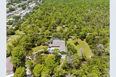 12348 Talpa Street, Spring Hill, FL 34608 - Photo 4