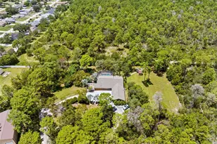 12348 Talpa St, Spring Hill, FL 34608 - Photo 4