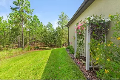 16 Elder Court E, Homosassa, FL 34446 - Photo 52