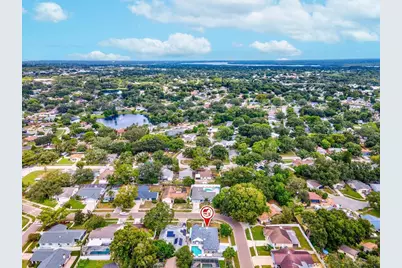 2640 Orchard Highlands Drive, Palm Harbor, FL 34684 - Photo 54