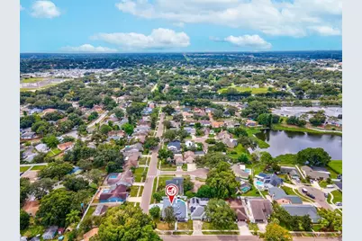 2640 Orchard Highlands Drive, Palm Harbor, FL 34684 - Photo 50