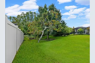 6022 Marsh Trail Drive, Odessa, FL 33556 - Photo 62