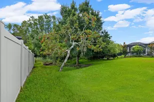6022 Marsh Trail Dr, Odessa, FL 33556 - Photo 62