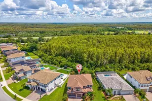 6022 Marsh Trail Dr, Odessa, FL 33556 - Photo 80