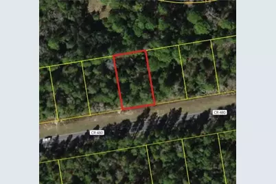 6407 W Oak Park Boulevard, Homosassa, FL 34446 - Photo 4