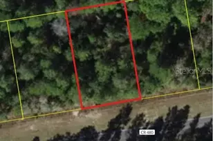 6407 W Oak Park Blvd, Homosassa, FL 34446 - Photo 1