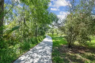5005 Paloma Dr, Tampa, FL 33624 - Photo 88