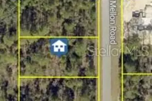 Mellon Rd, Weeki Wachee, FL 34614 - Photo 1
