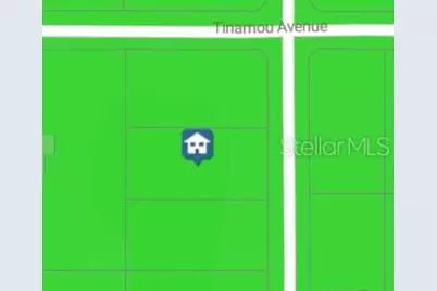 Mellon Road, Weeki Wachee, FL 34614 - Photo 4