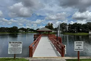 8215 San Felipe Ct, Port Richey, FL 34668 - Photo 48