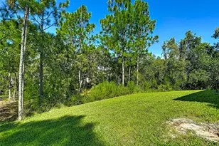 12 Dahlia Ct S, Homosassa, FL 34446 - Photo 68