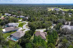 12 Dahlia Ct S, Homosassa, FL 34446 - Photo 72