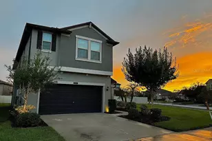 9100 Shadyside Ln, Land O Lakes, FL 34637 - Photo 2