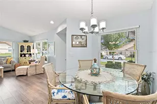 6802 Plumleaf Ct, Spring Hill, FL 34606 - Photo 10