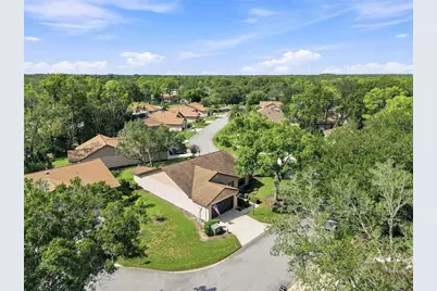 6802 Plumleaf Court, Spring Hill, FL 34606 - Photo 44