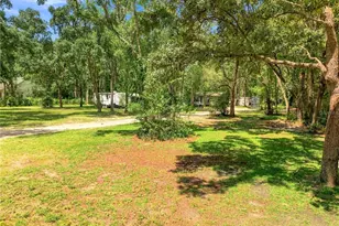 7395 Robb Rd, Brooksville, FL 34602 - Photo 48