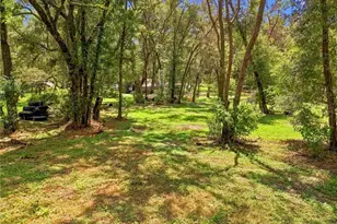 7395 Robb Rd, Brooksville, FL 34602 - Photo 44