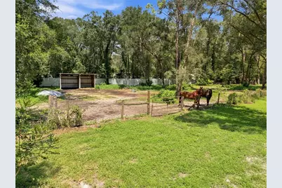 7395 Robb Road, Brooksville, FL 34602 - Photo 40