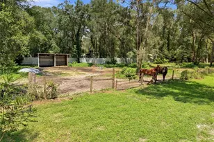 7395 Robb Rd, Brooksville, FL 34602 - Photo 40