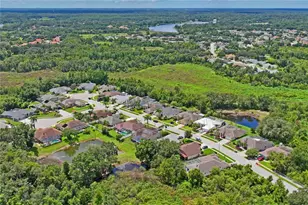 23218 Cypress Trail Dr, Lutz, FL 33549 - Photo 72