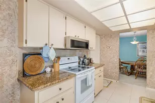 1428 Summer Isle Ct, Dunedin, FL 34698 - Photo 22