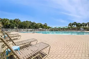 3125 Ashmonte Dr, Land O Lakes, FL 34638 - Photo 84