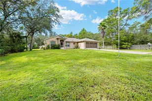 10478 Gannet Ave, Weeki Wachee, FL 34613 - Photo 2