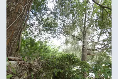 11506 Fountainhead Drive, Tampa, FL 33626 - Photo 20