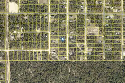 Lot 16 Grebe Road, Weeki Wachee, FL 34614 - Photo 2
