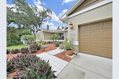 611 Tomoka Drive, Palm Harbor, FL 34683 - Photo 52